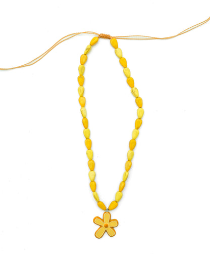 Orange Tipanie - Kaikai