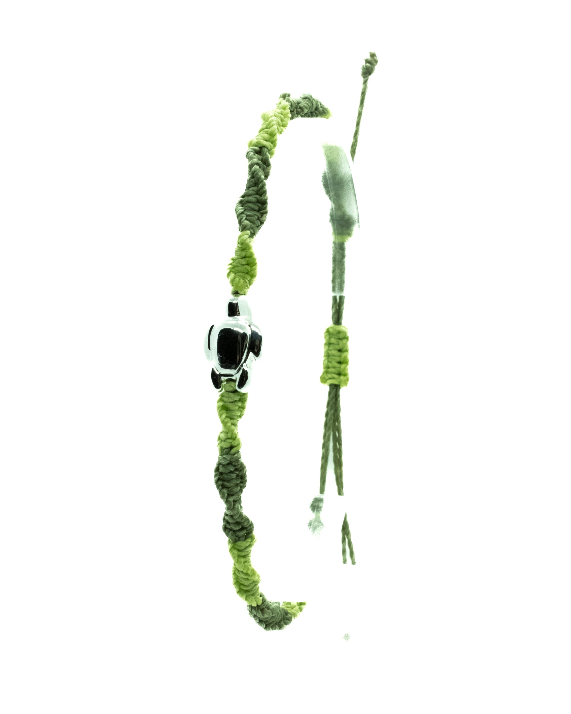 Turtle Tipanie Colors - Kaikai