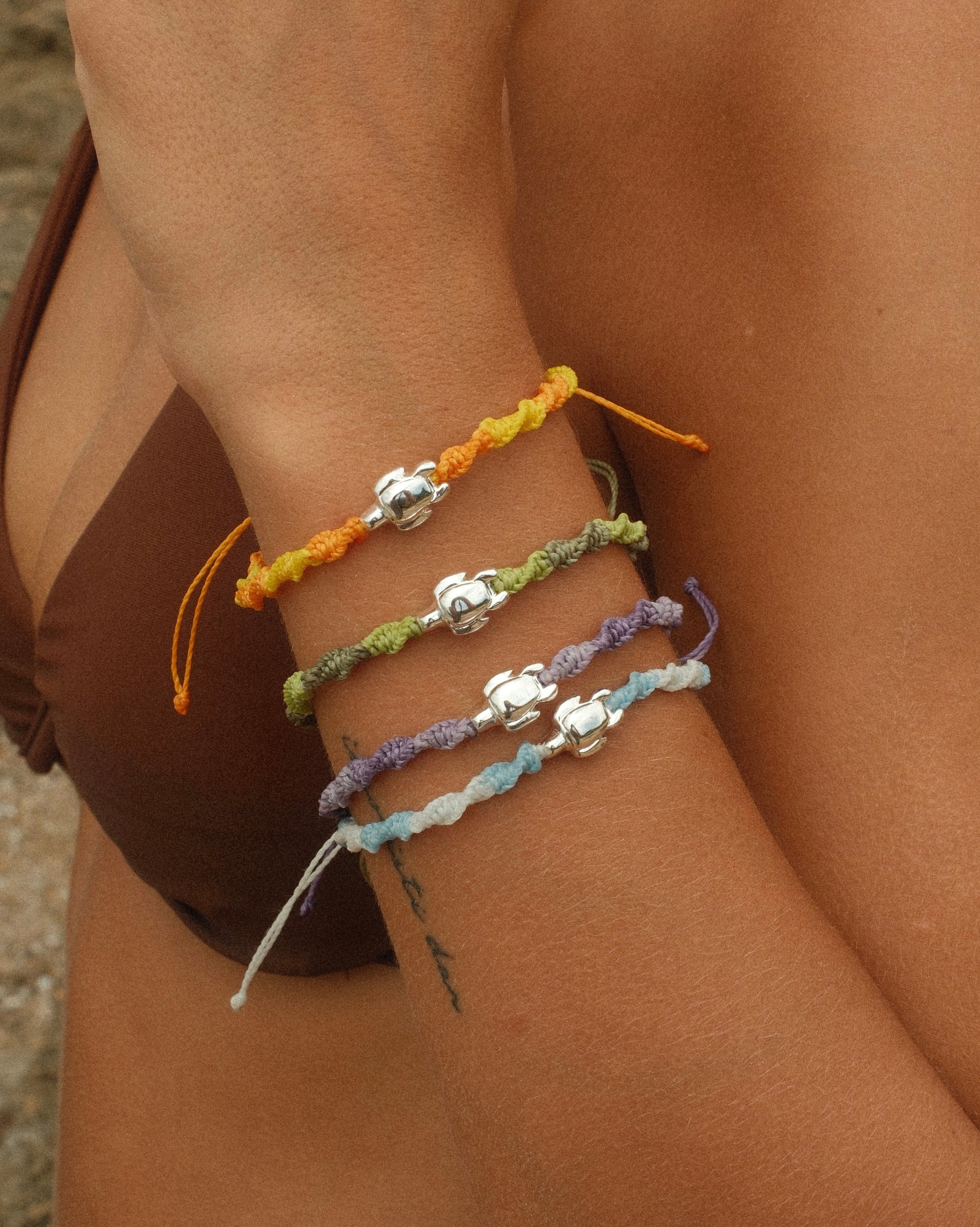 Turtle Tipanie Colors - Kaikai