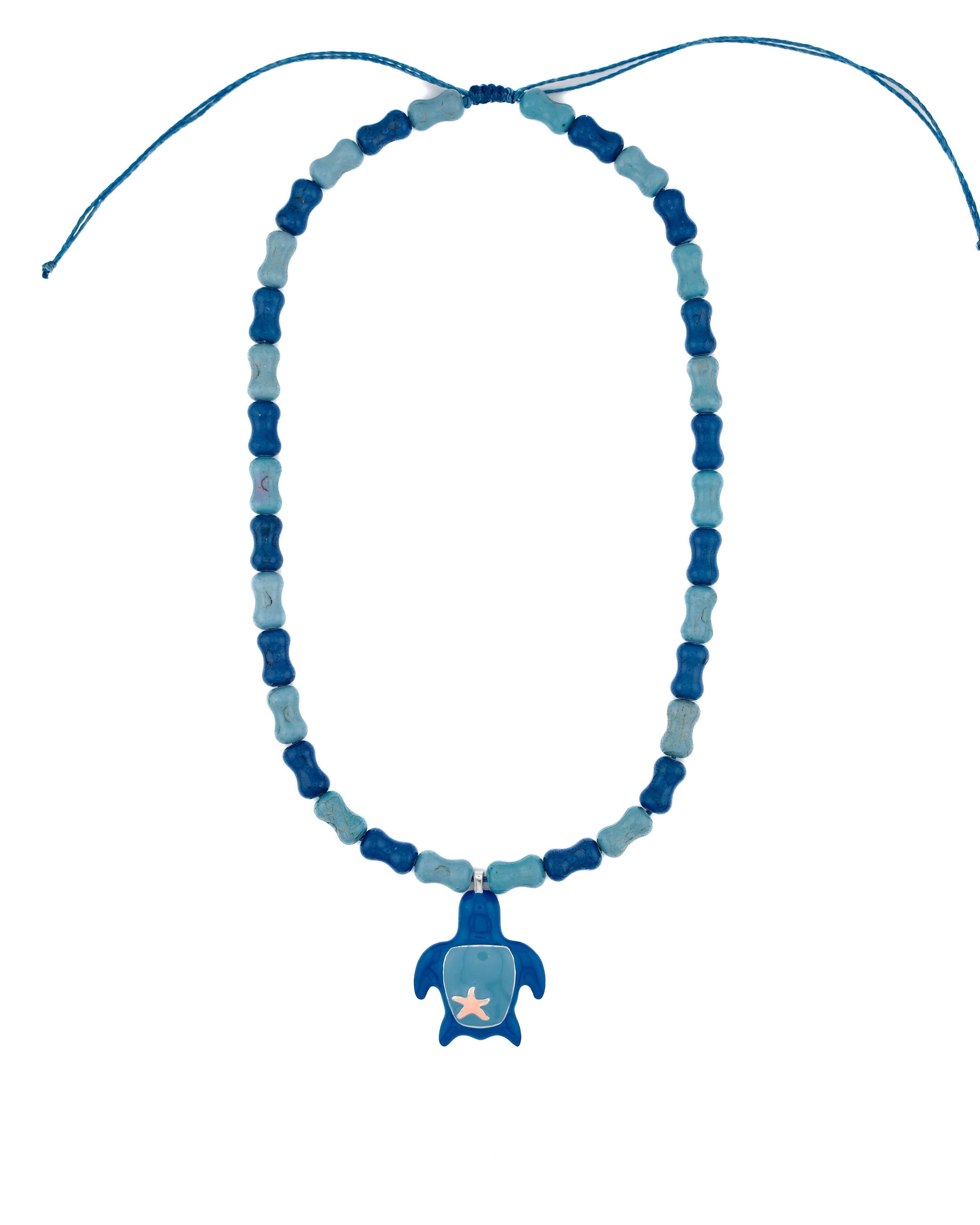 BLUE TURTLE - Kaikai