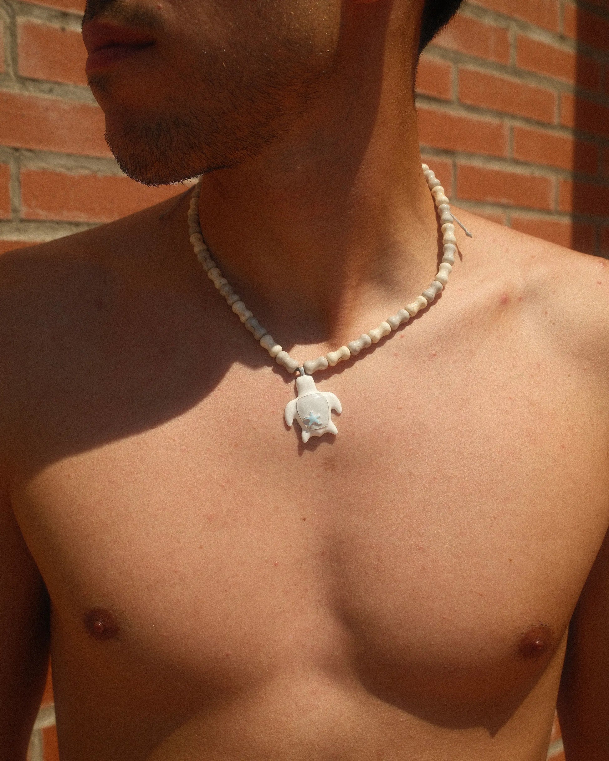 WHITE TURTLE - Kaikai